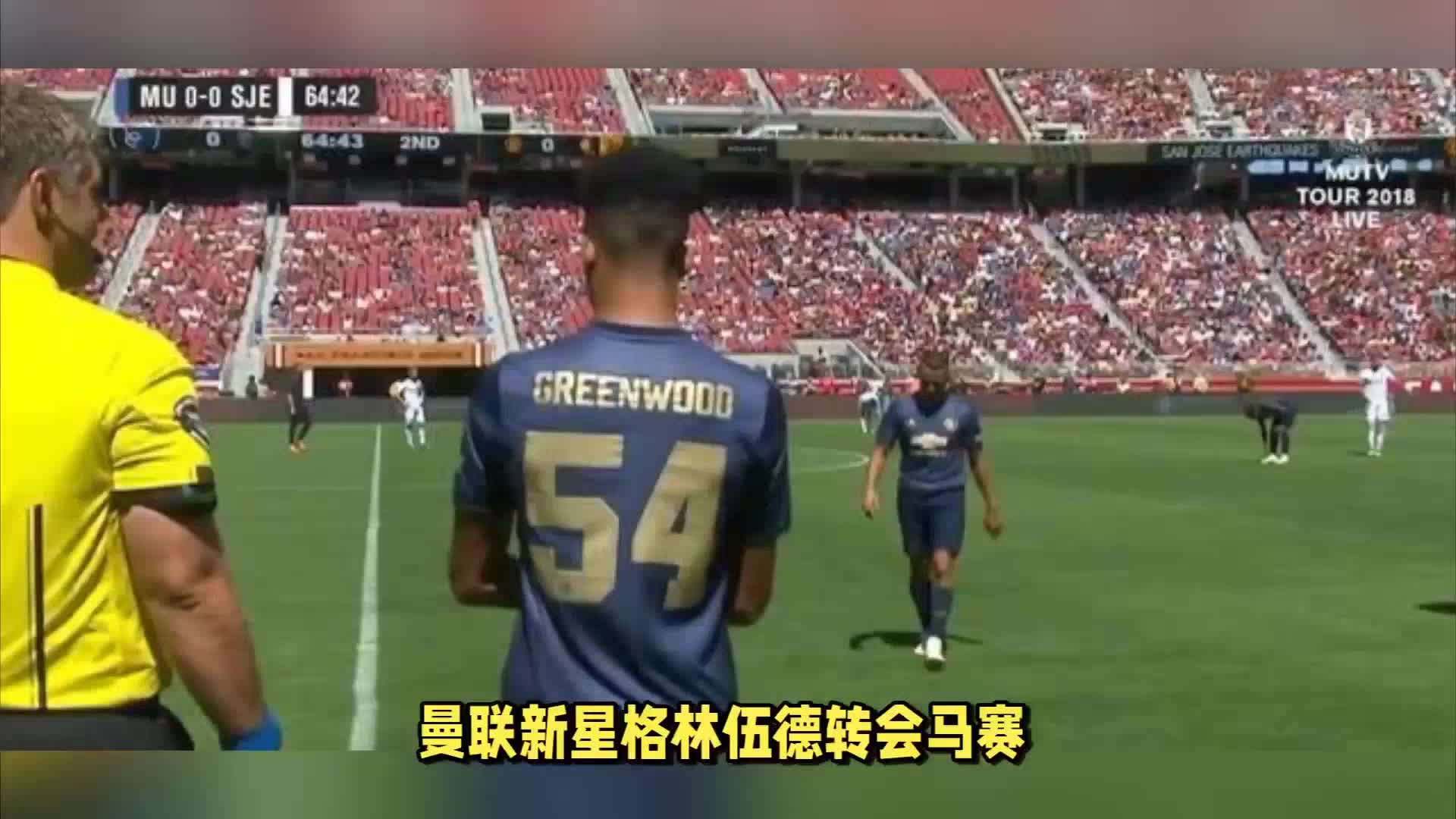 职业生